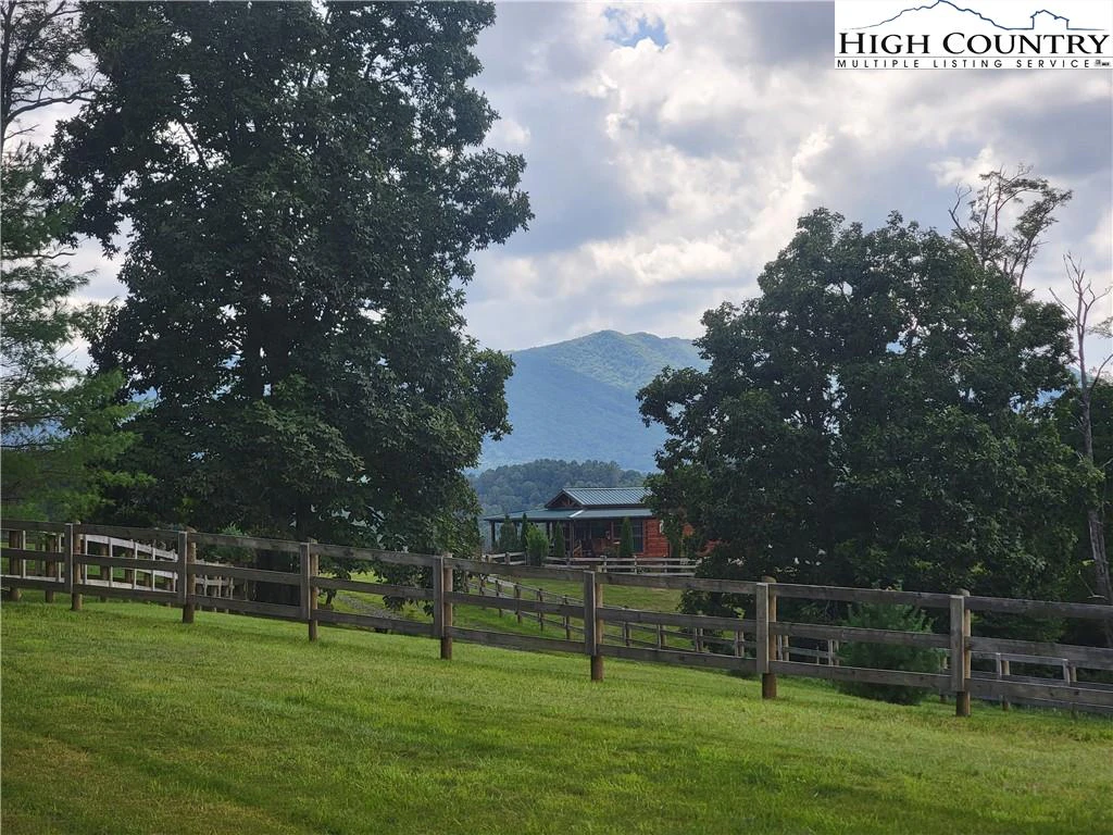 Image number 12 for the current listing