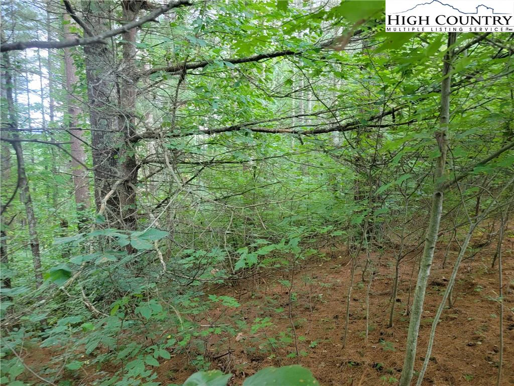 Image number 13 for the current listing