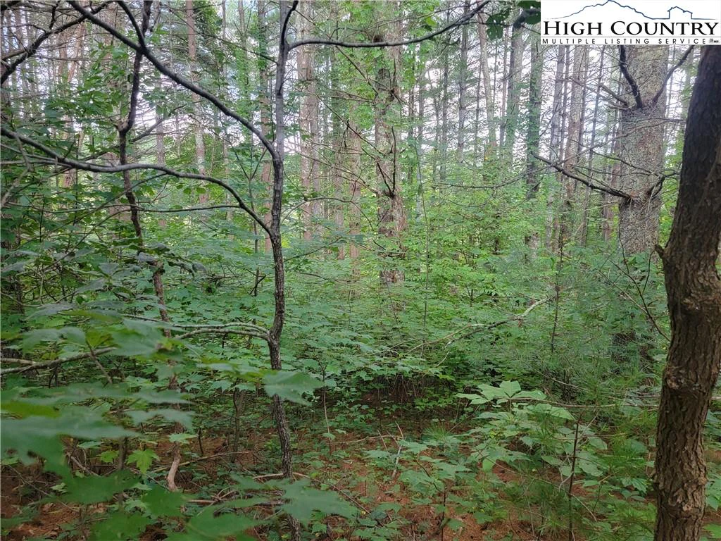 Image number 14 for the current listing