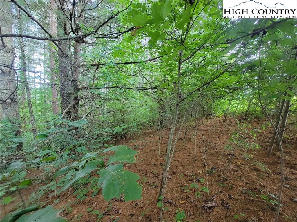 Image number 15 for the current listing