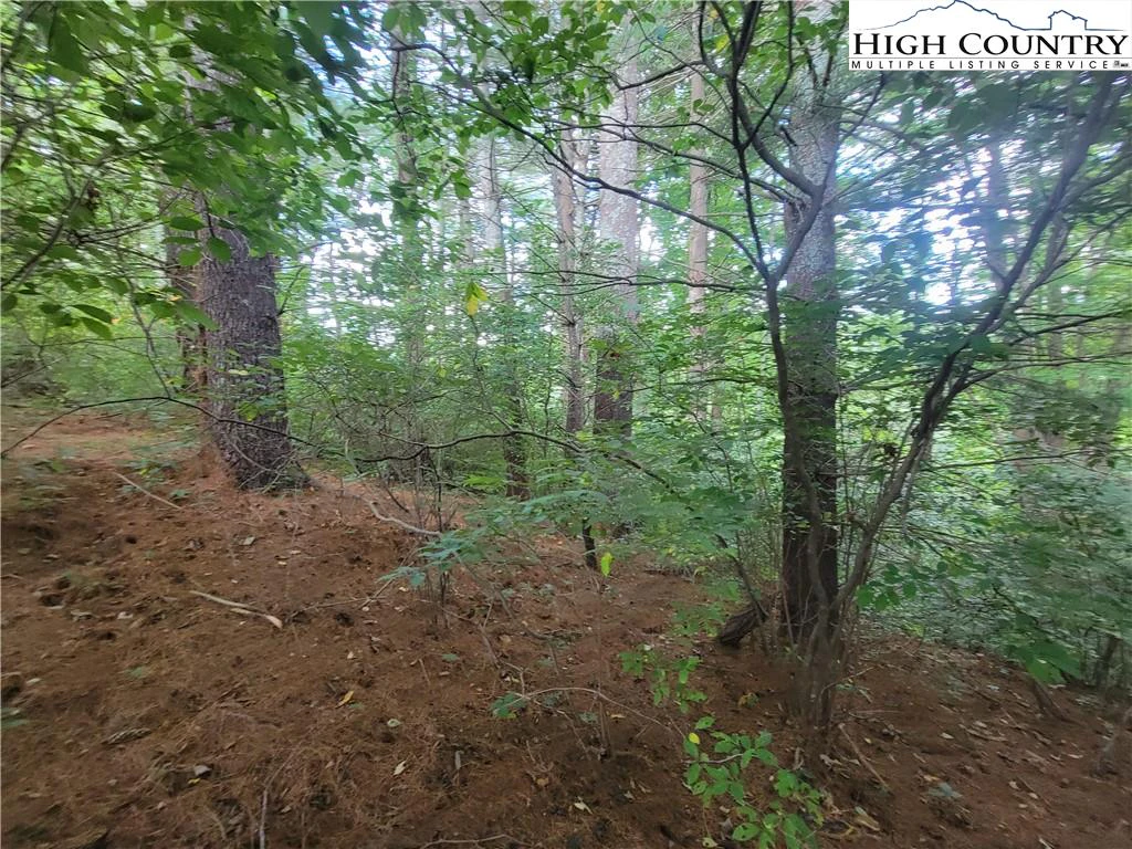 Image number 16 for the current listing