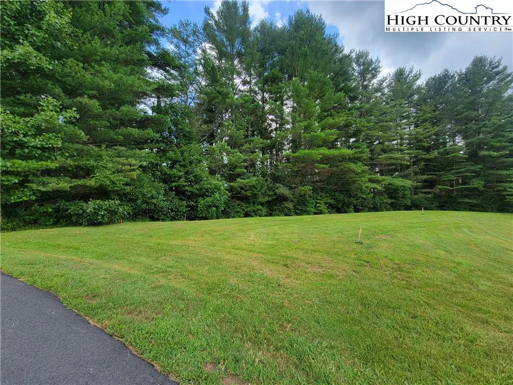 Image number 5 for the current listing