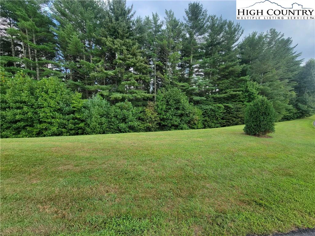 Image number 8 for the current listing