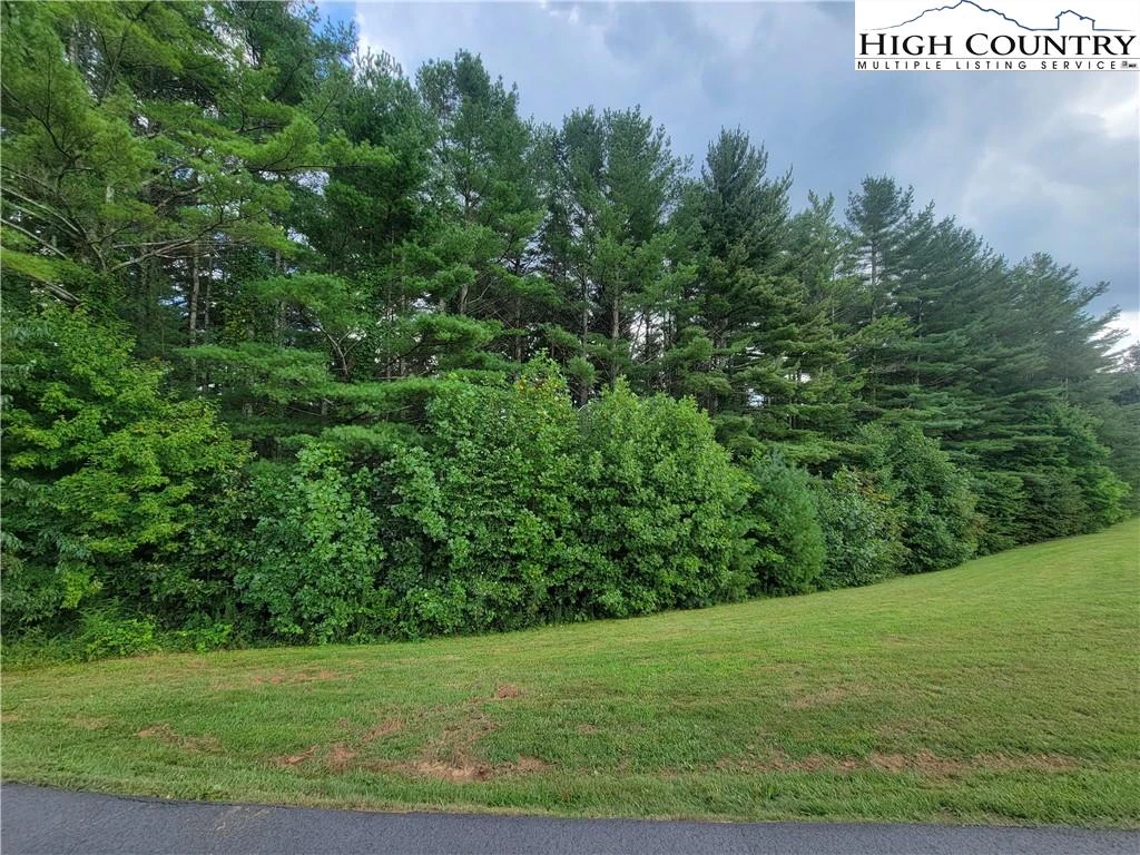 Image number 9 for the current listing