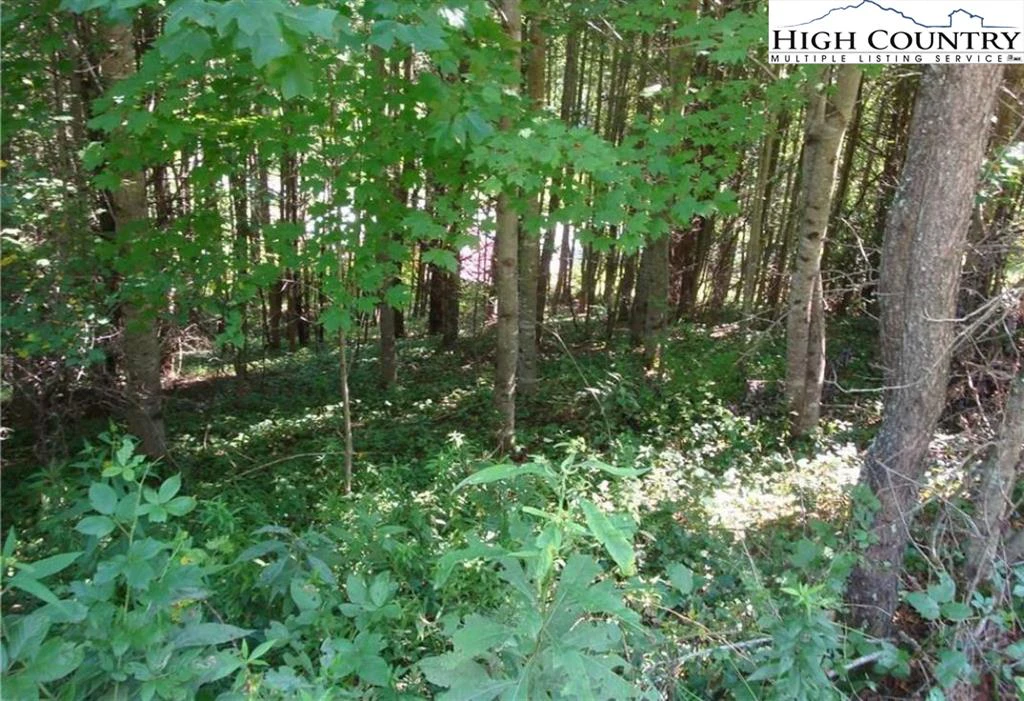 Image number 1 for the current listing