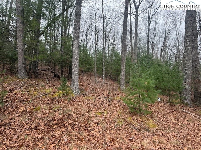 Image number 1 for the current listing