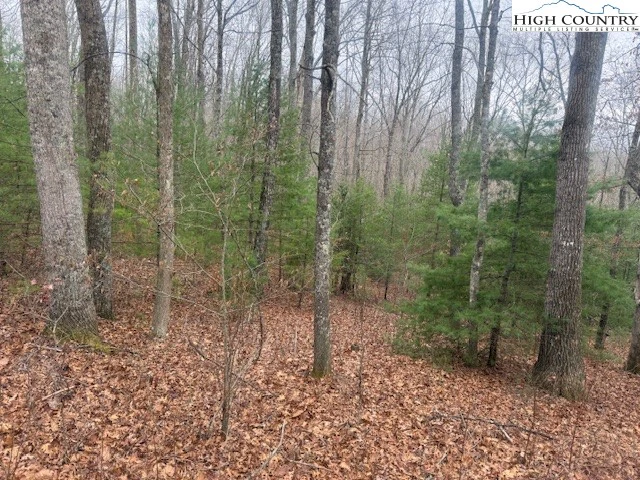 Image number 3 for the current listing