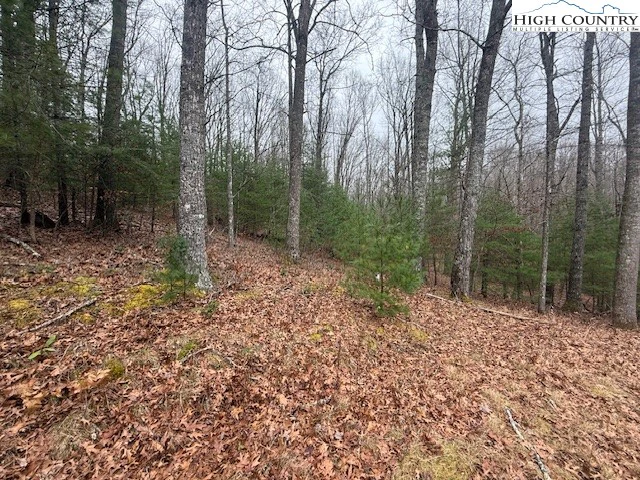 Image number 4 for the current listing