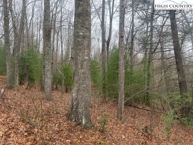 Image number 5 for the current listing
