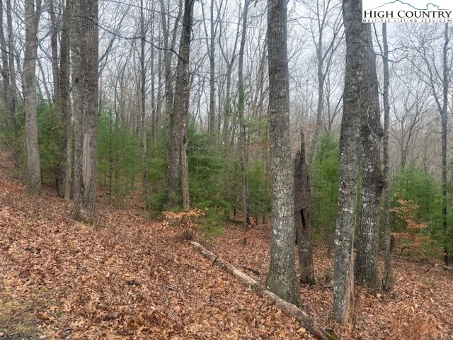 Image number 6 for the current listing