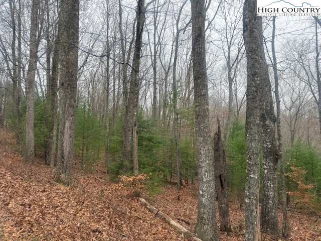 Image number 8 for the current listing