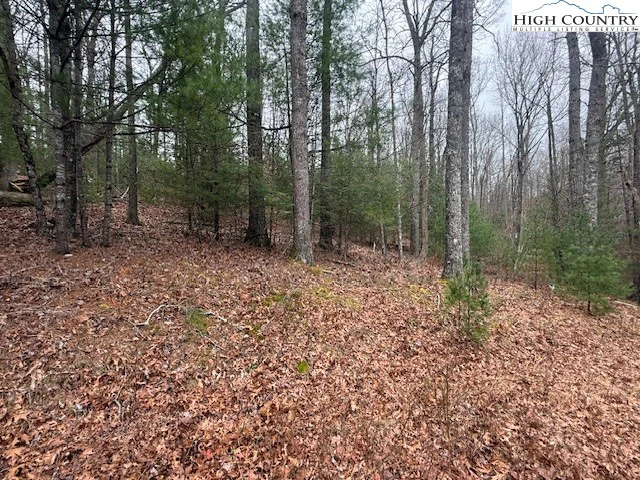 Image number 10 for the current listing