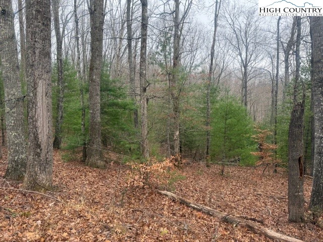 Image number 11 for the current listing