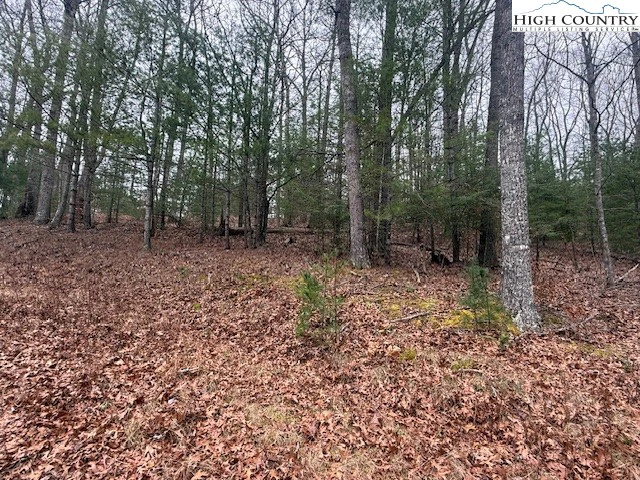 Image number 13 for the current listing