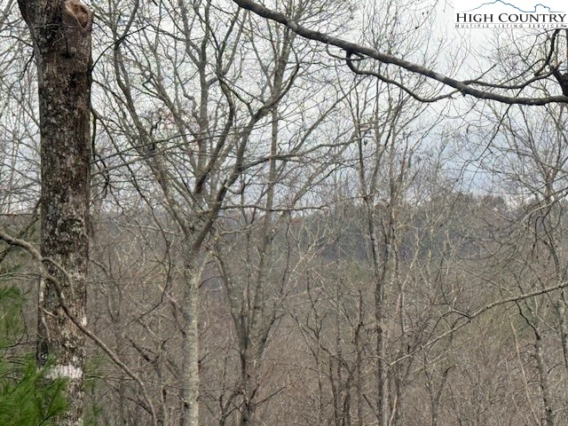 Image number 14 for the current listing