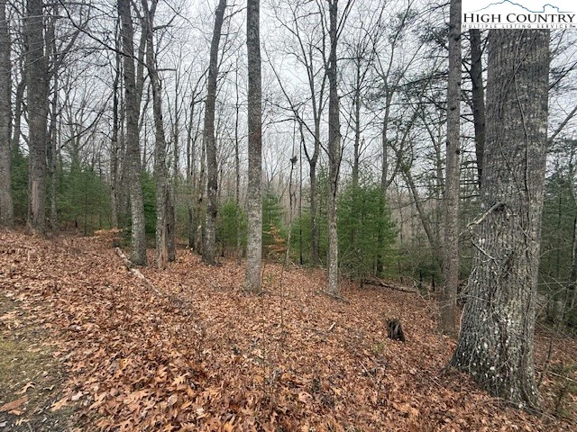 Image number 16 for the current listing