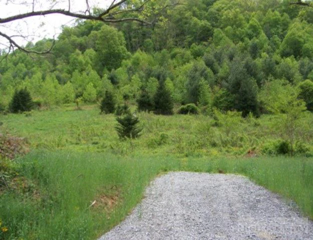 Image number 1 for the current listing