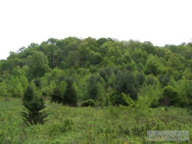 Image number 3 for the current listing