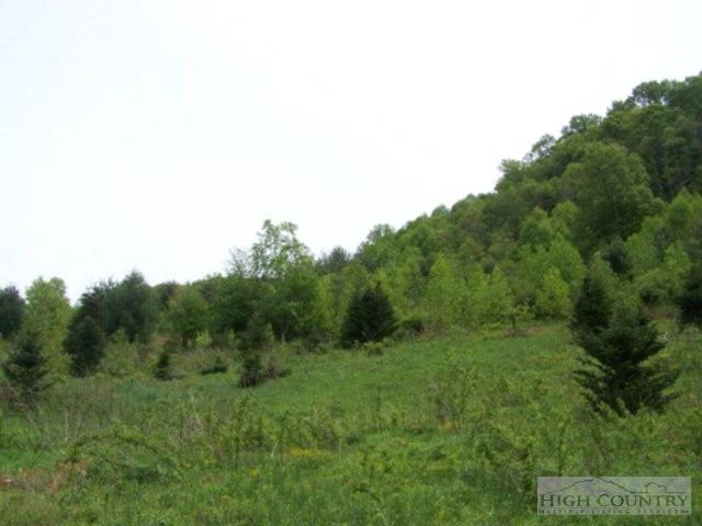 Image number 4 for the current listing