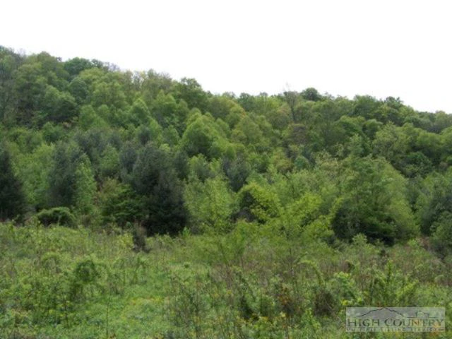 Image number 5 for the current listing