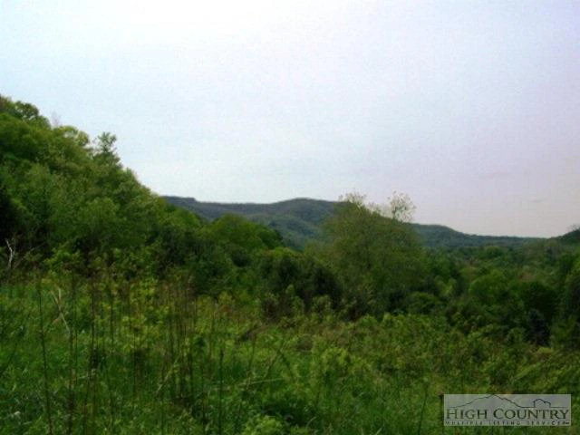 Image number 6 for the current listing