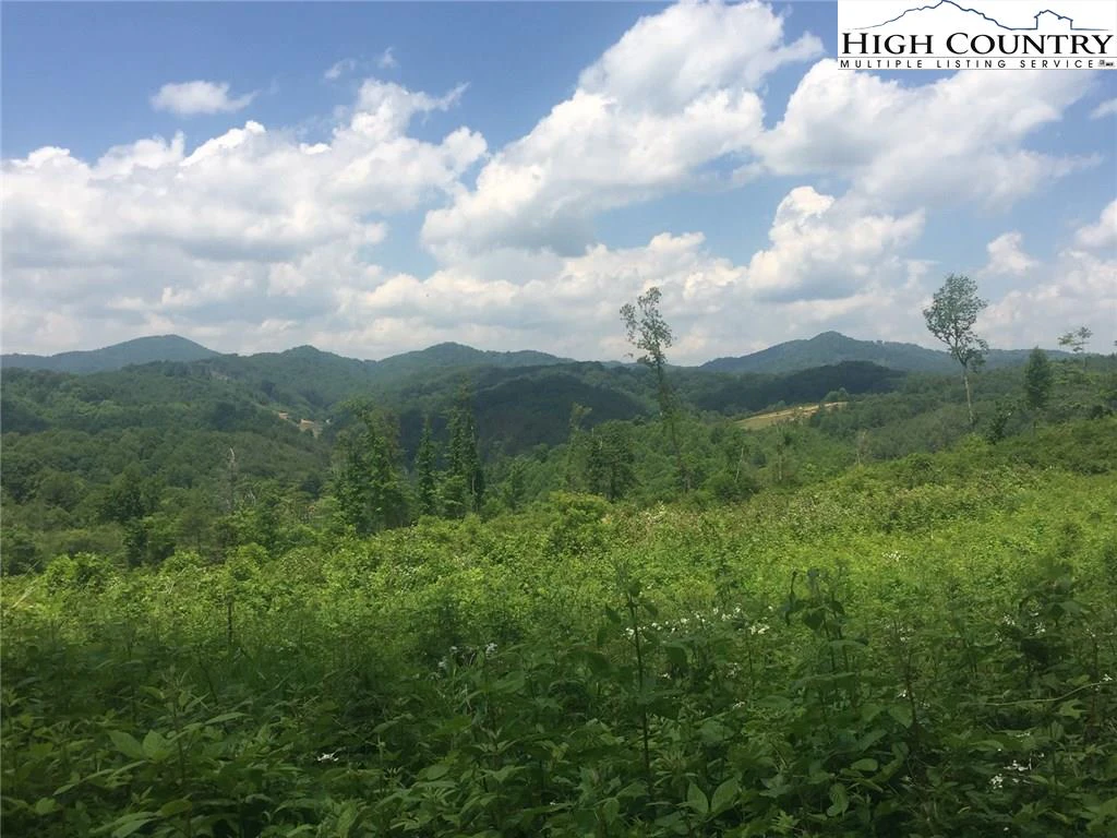 Image number 1 for the current listing