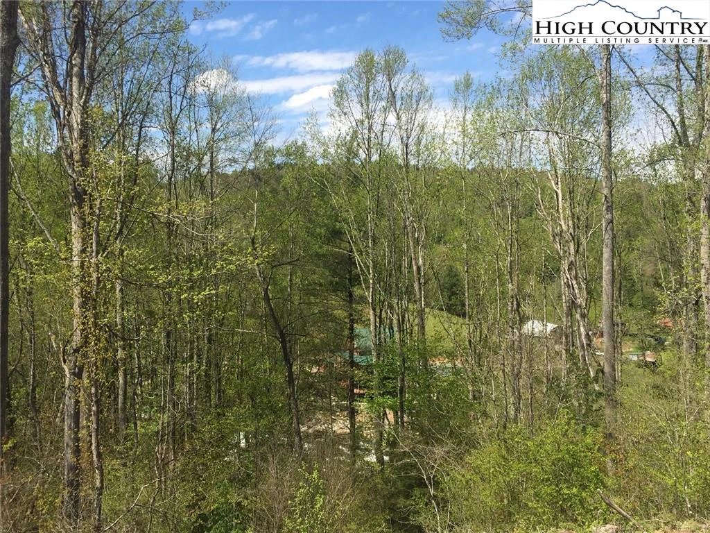 Image number 5 for the current listing