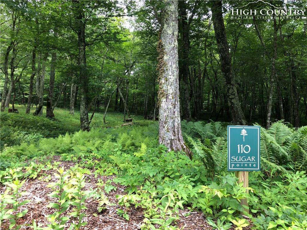 Image number 1 for the current listing