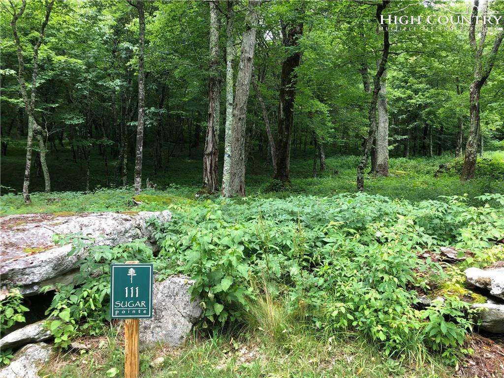 Image number 1 for the current listing