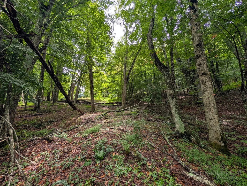 Image number 19 for the current listing