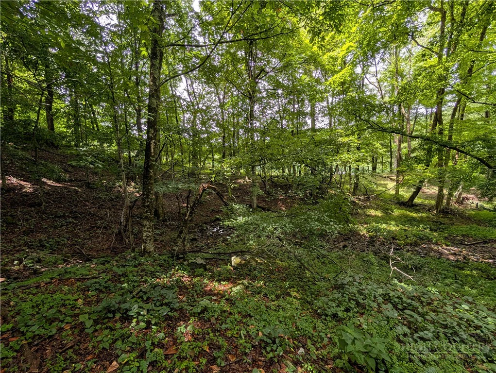 Image number 14 for the current listing