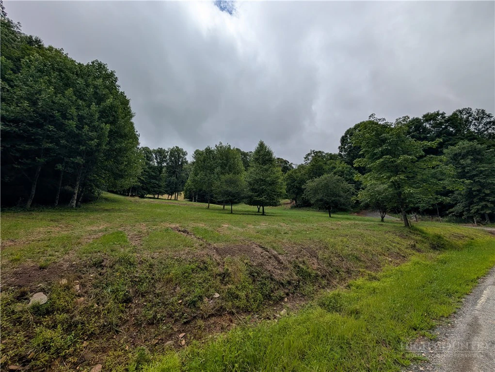 Image number 3 for the current listing