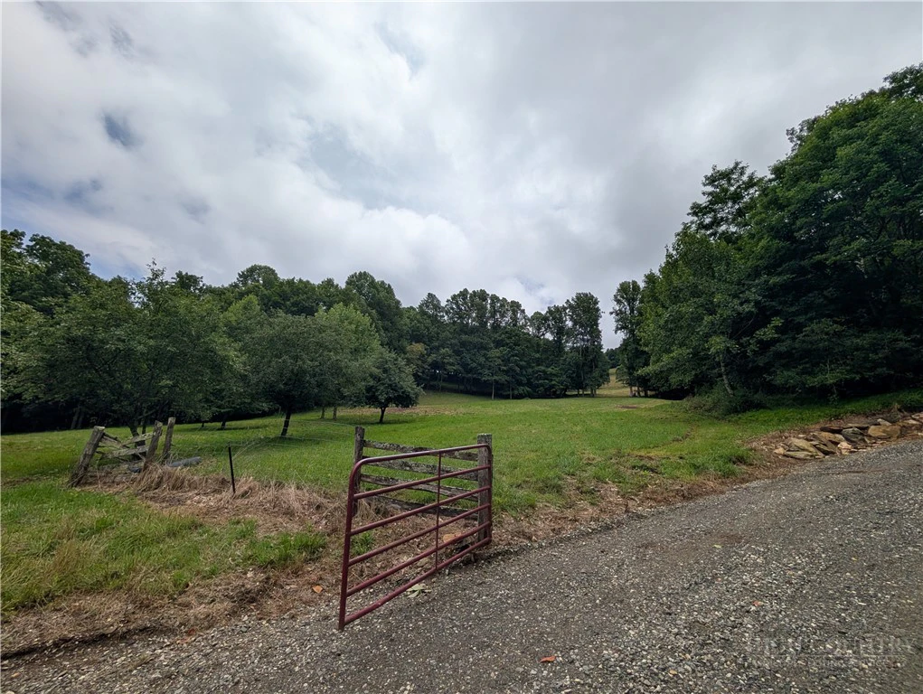Image number 5 for the current listing