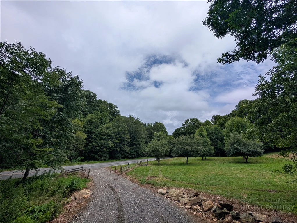 Image number 6 for the current listing