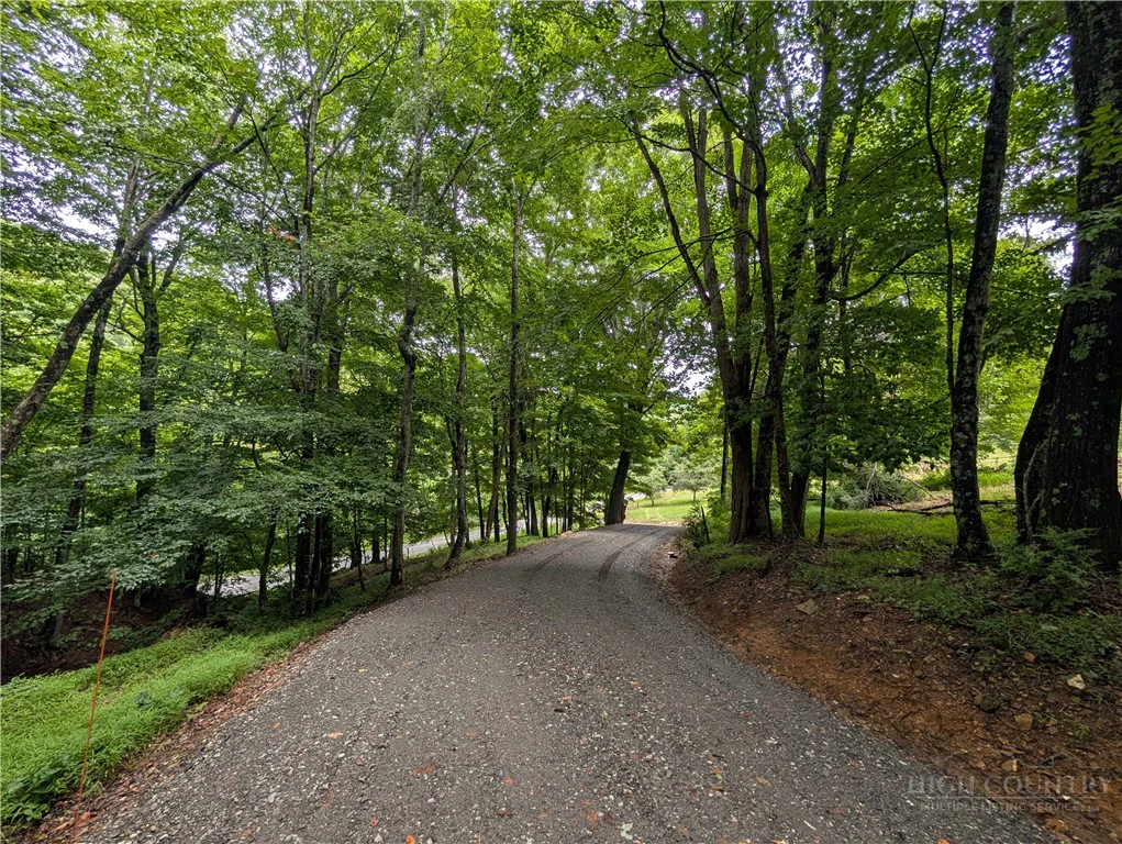 Image number 7 for the current listing