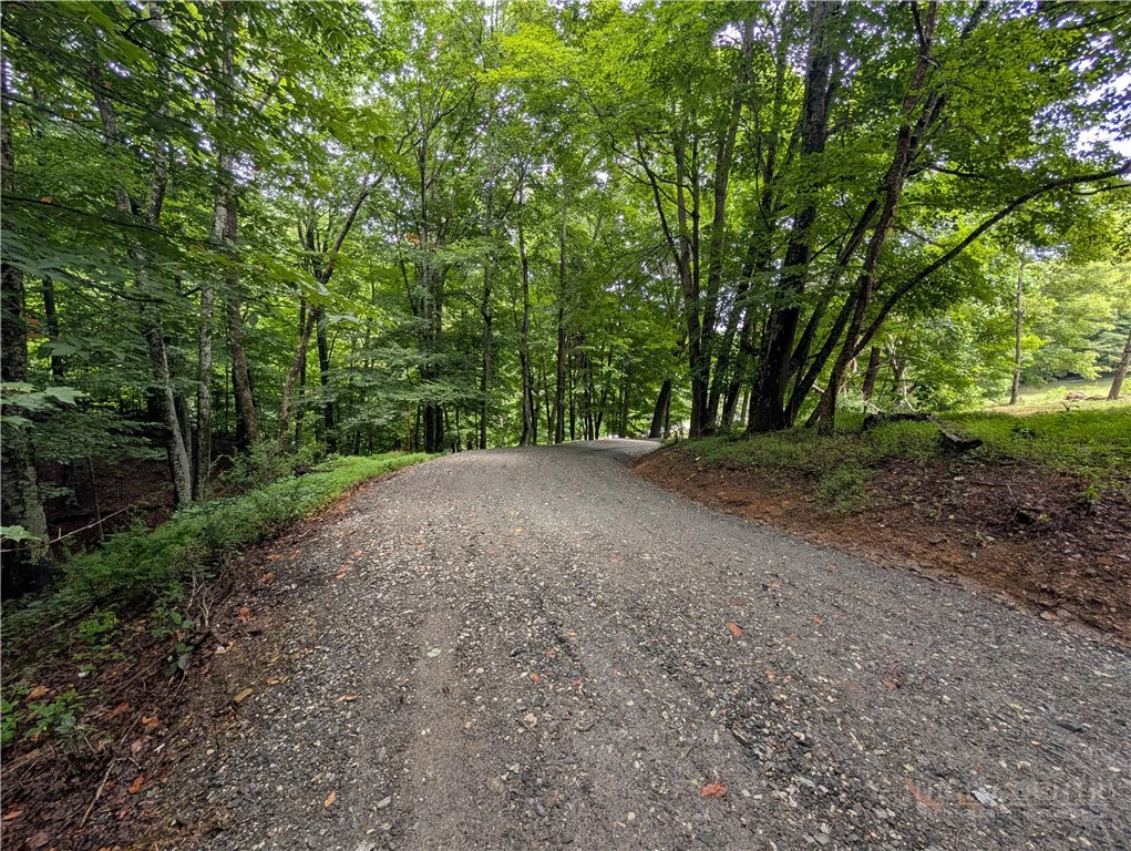 Image number 2 for the current listing
