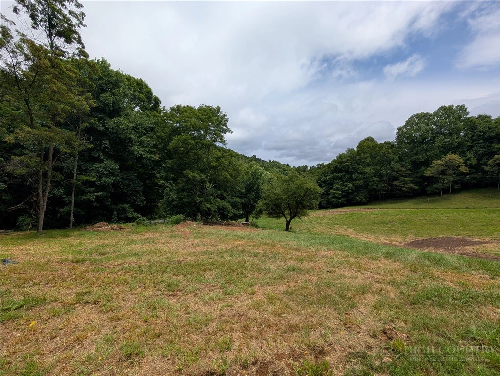 Image number 9 for the current listing