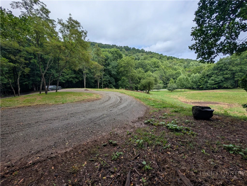 Image number 1 for the current listing