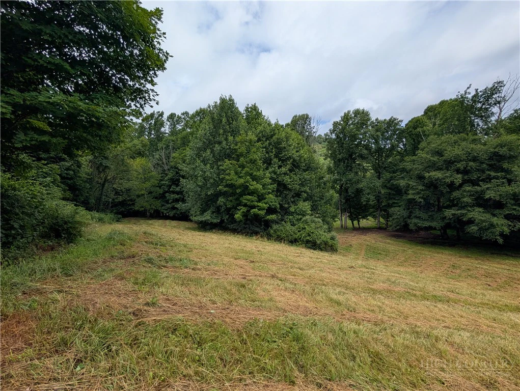 Image number 4 for the current listing