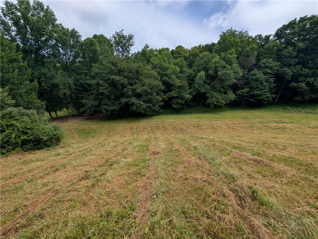 Image number 11 for the current listing