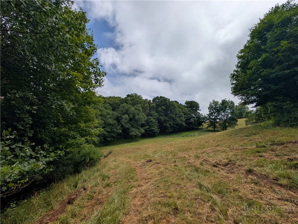 Image number 13 for the current listing