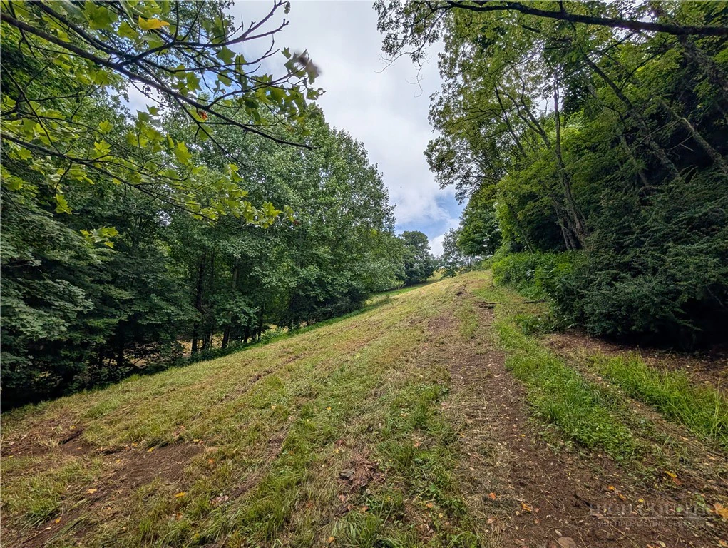 Image number 15 for the current listing