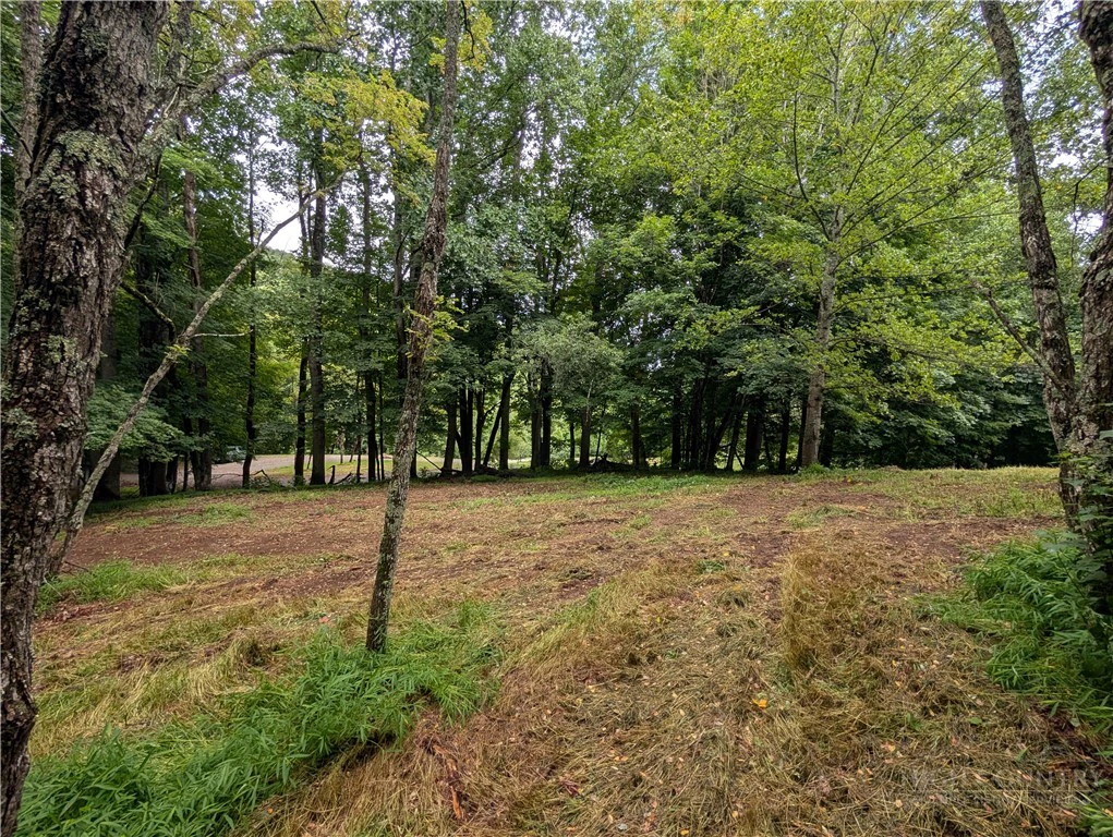 Image number 16 for the current listing