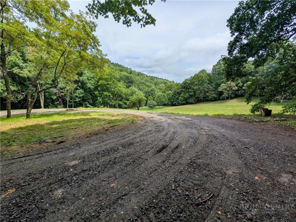 Image number 8 for the current listing