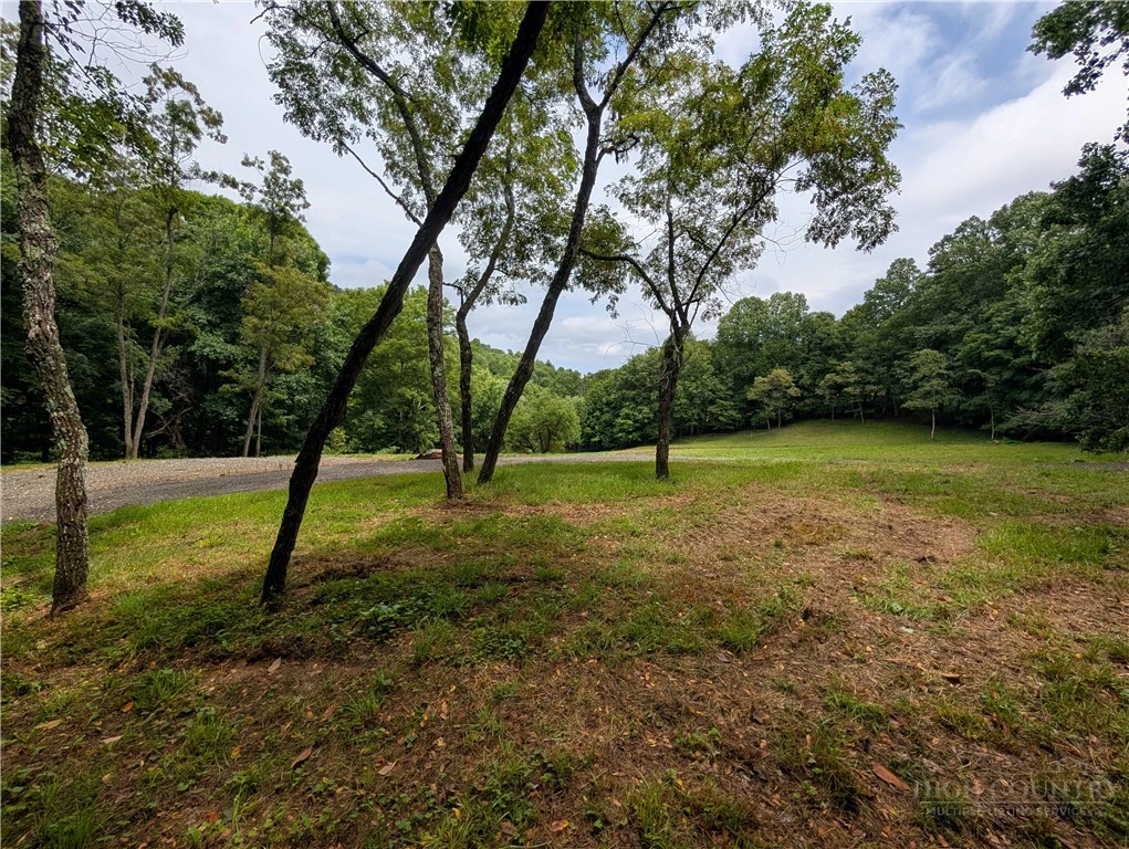 Image number 17 for the current listing