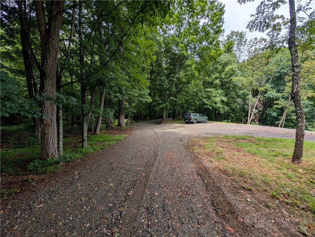 Image number 12 for the current listing
