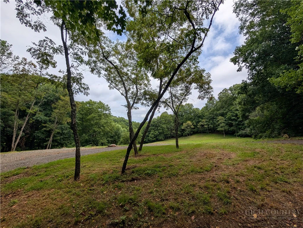 Image number 18 for the current listing