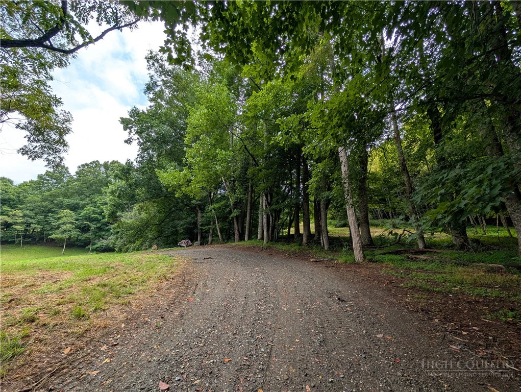Image number 20 for the current listing