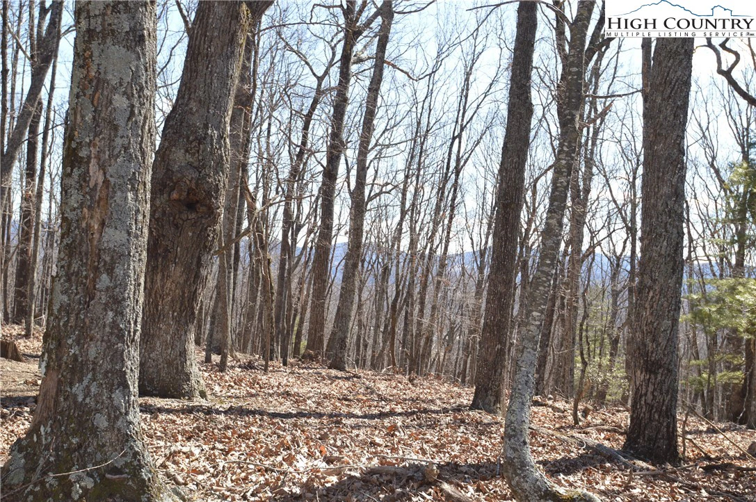 Image number 1 for the current listing
