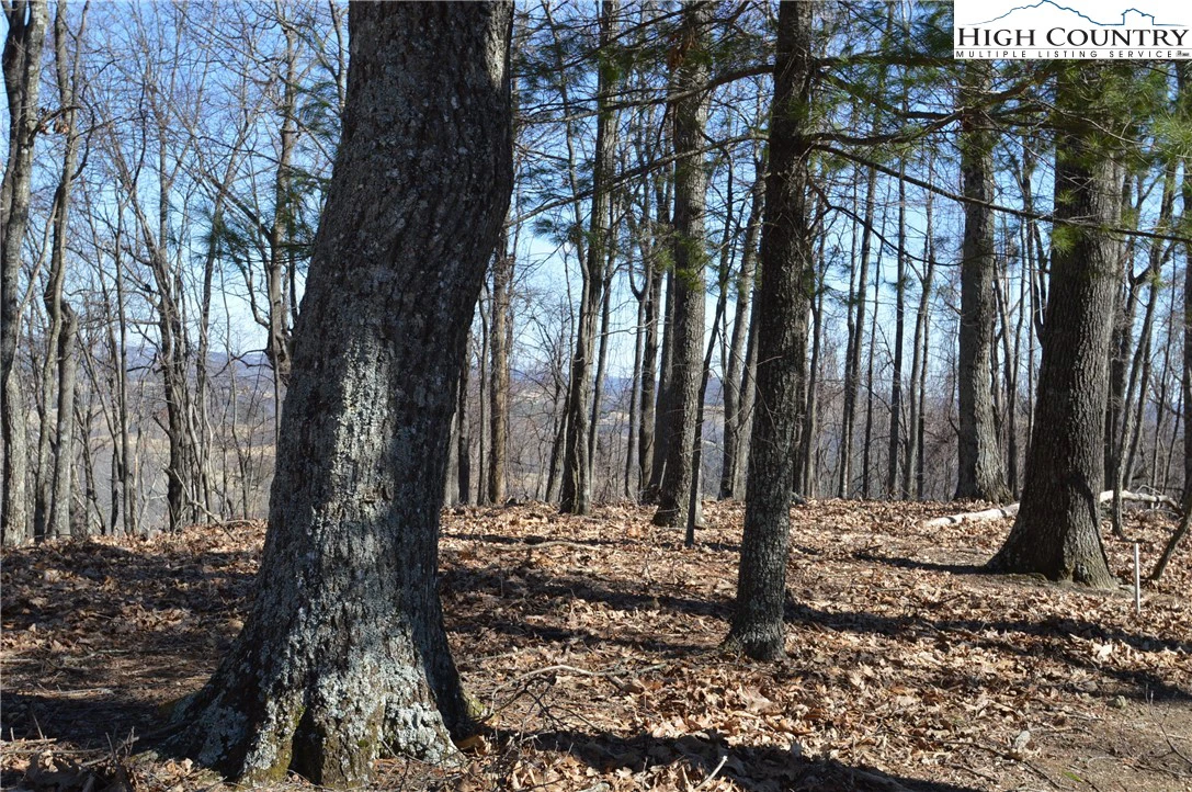 Image number 14 for the current listing